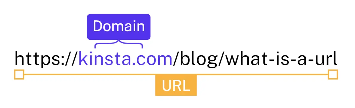 بخش دوم URL چیست: بررسی دامنه سایت